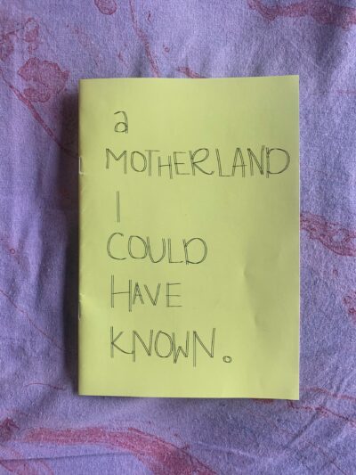 A Motherland I Could Have Known