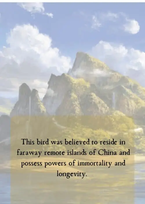 Demons of the Sky - Book 1 - The Rukh - Image 4