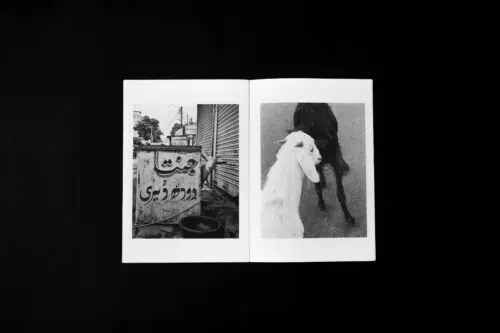 Scapegoat - Image 3