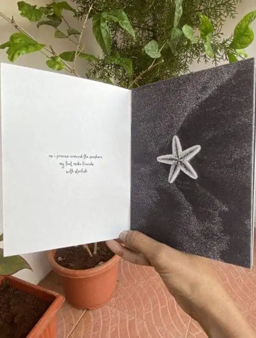 An evening with starfish - Image 2