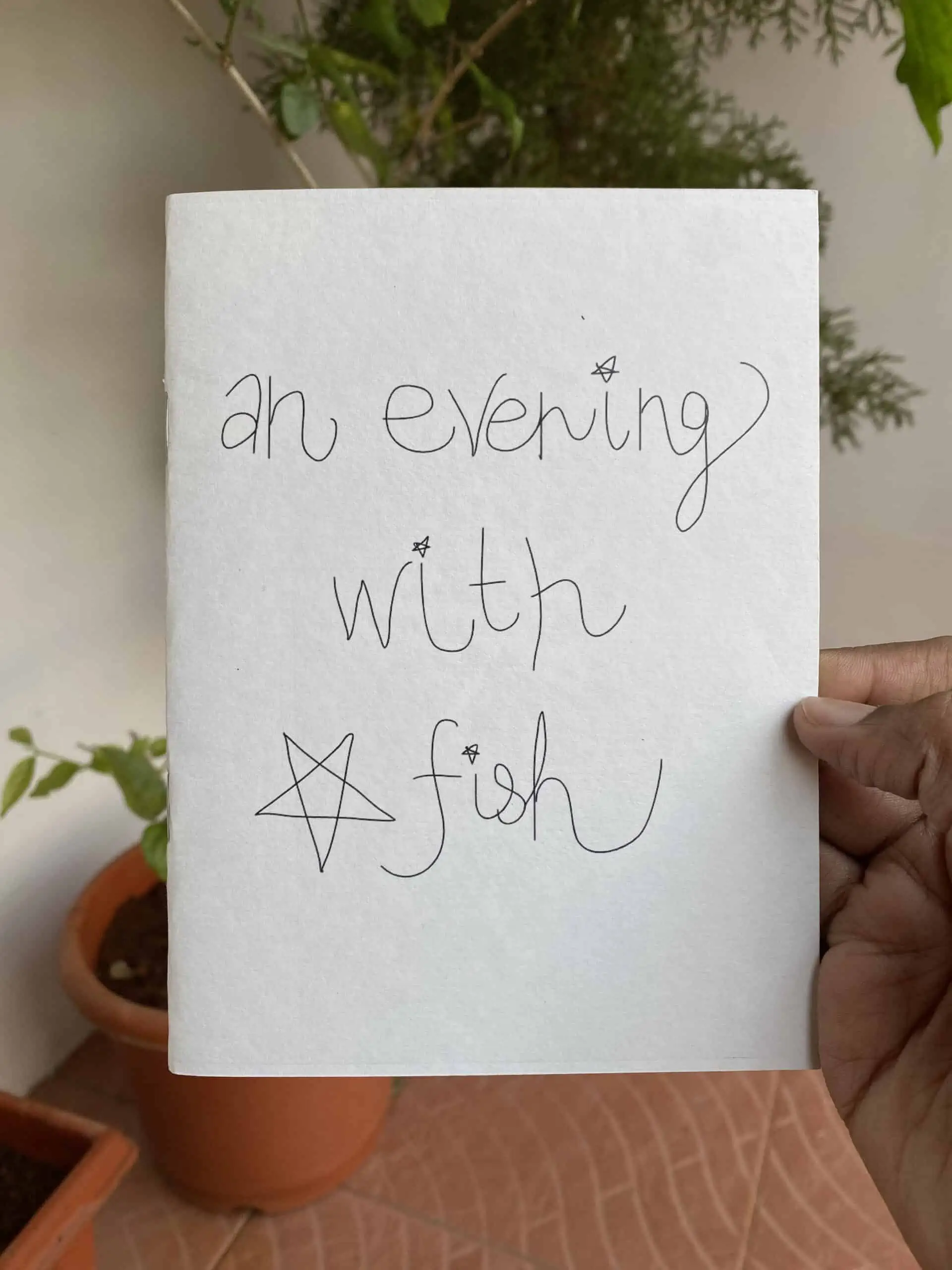 An evening with starfish