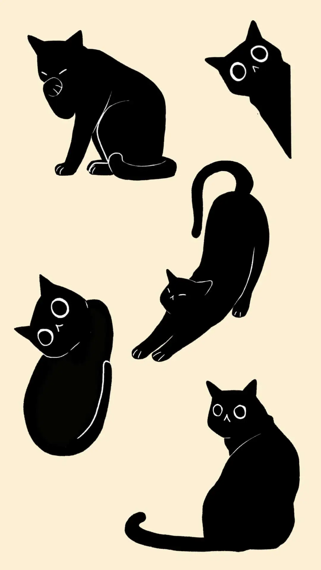 Cat stickers shop