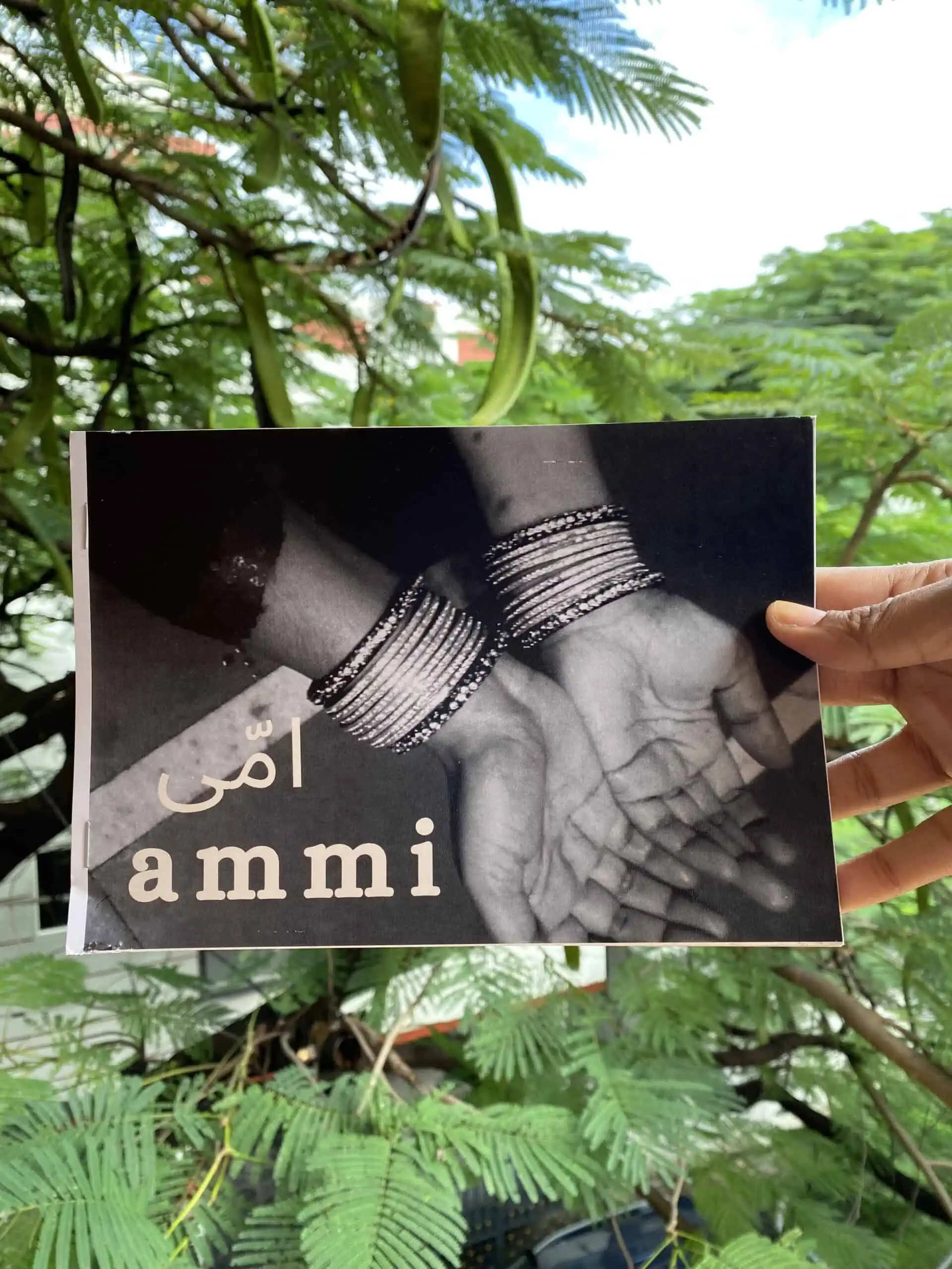 Ammi