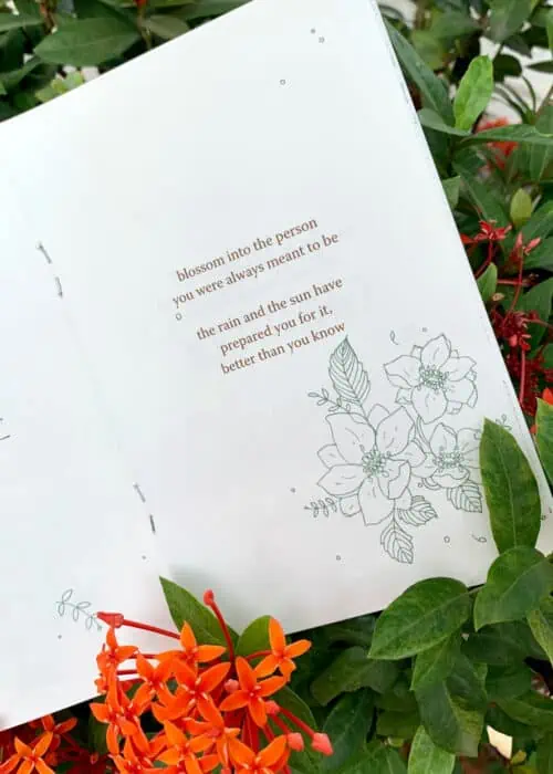 Bloom Where You're Planted - Image 2