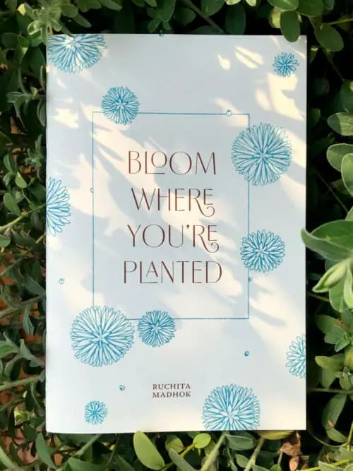 Bloom Where You're Planted