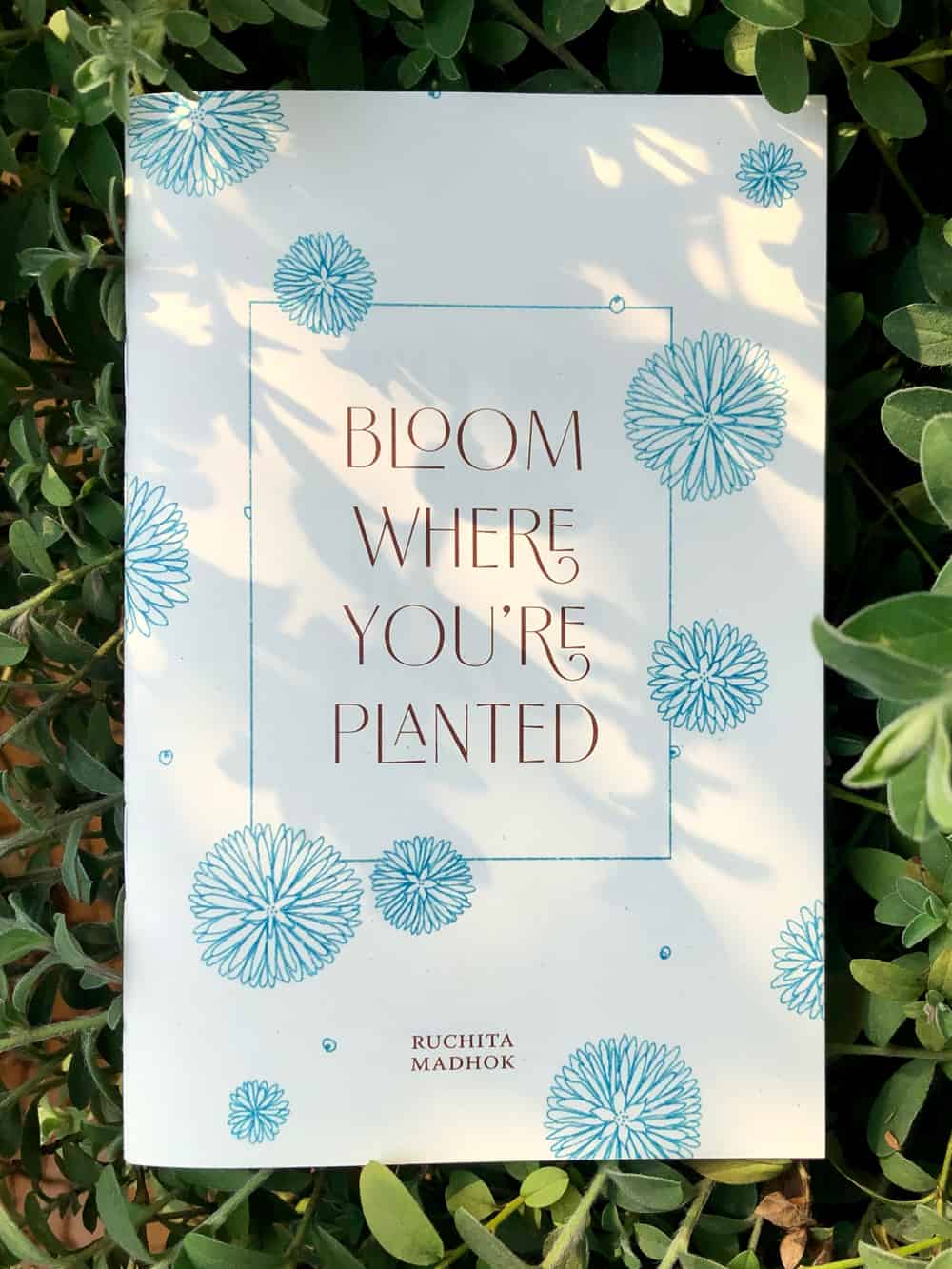 Bloom Where You're Planted