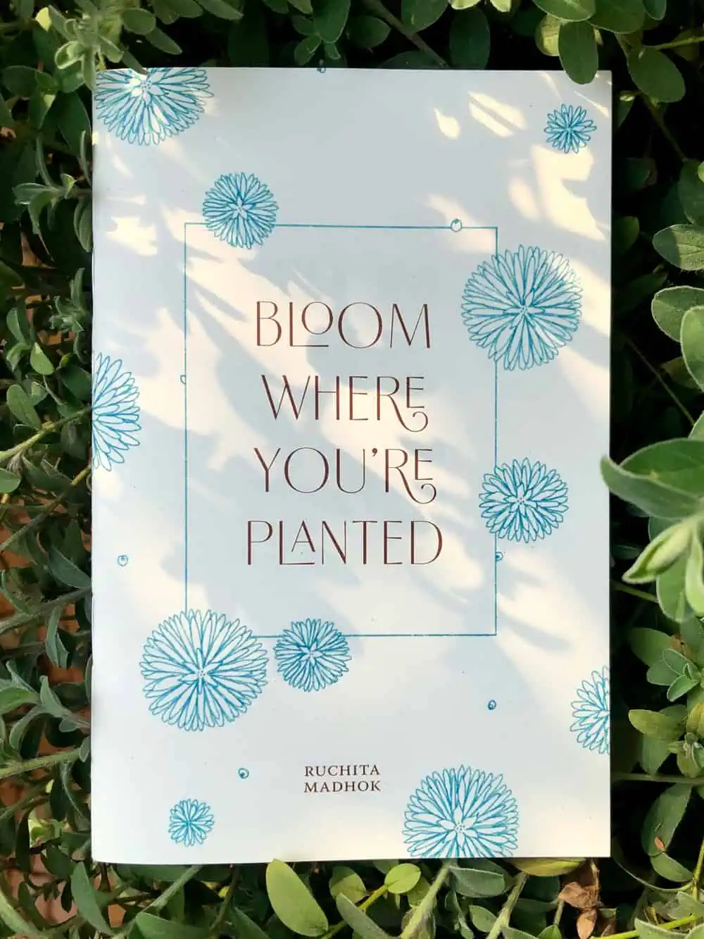 Bloom Where You're Planted