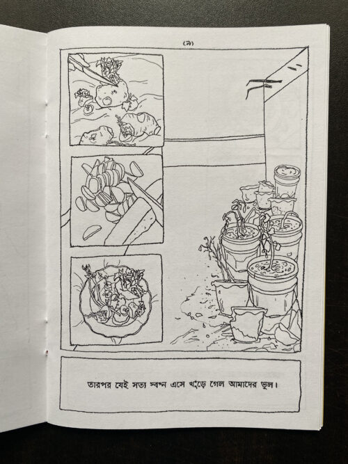 A Letter From Sweet Potatoes (Bengali) - Image 4