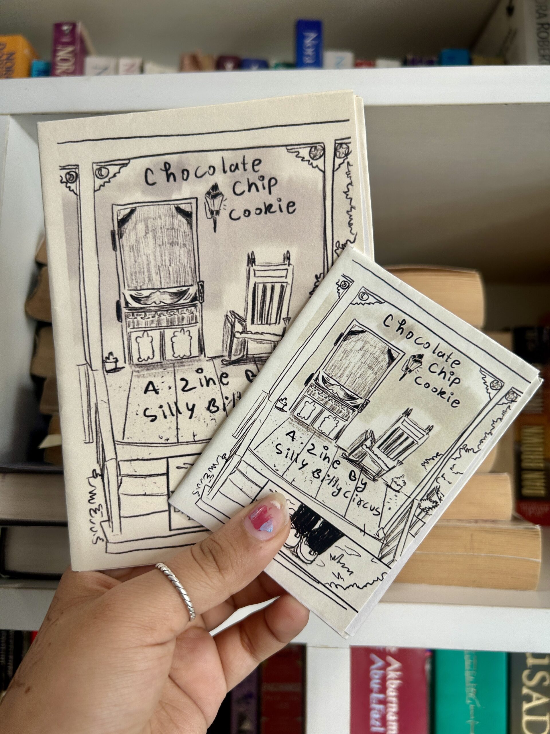 Chocolate Chip Cookie | Zine | 2 Sizes