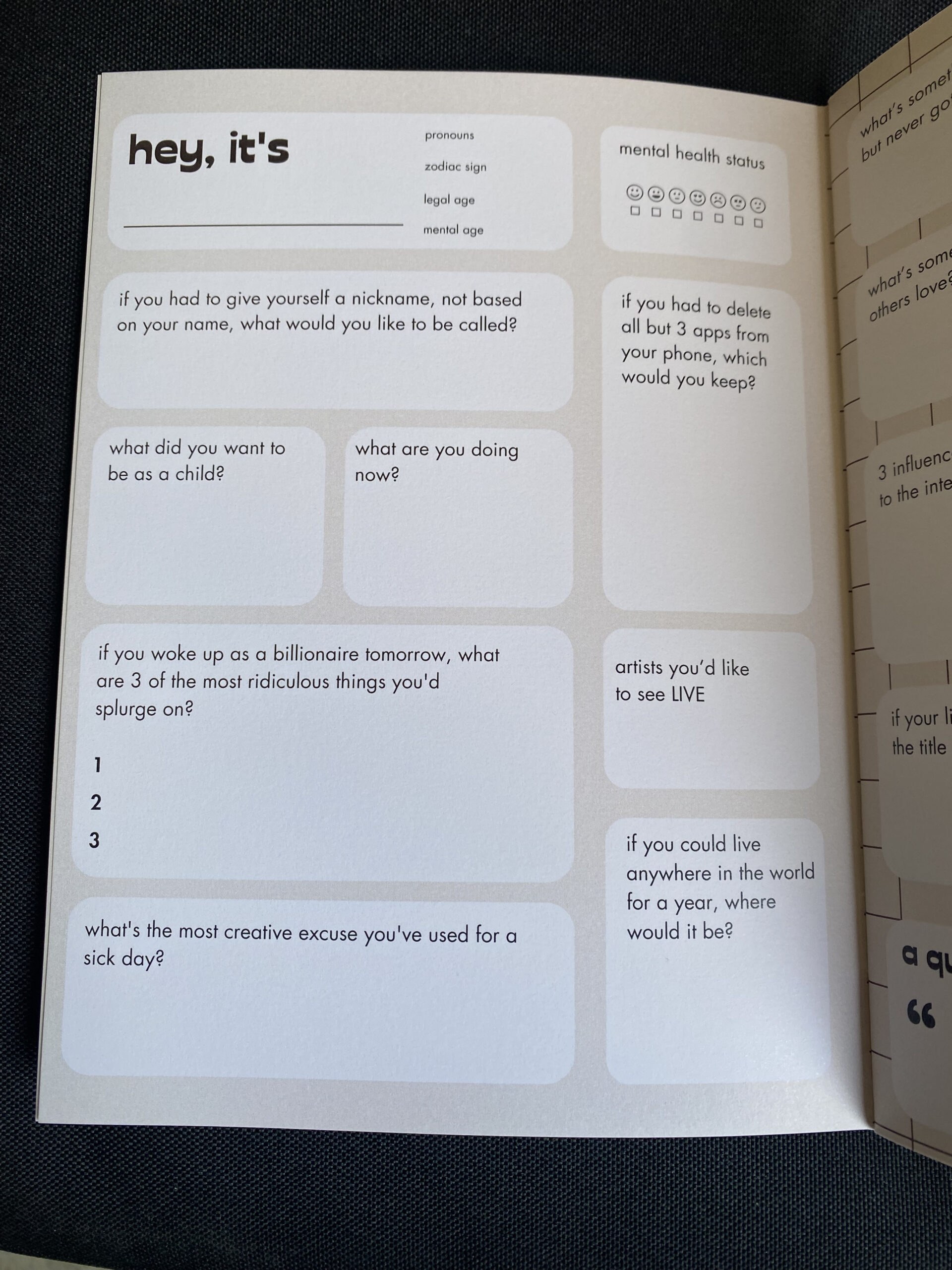 Slam Book for Grown-Ups - Image 2